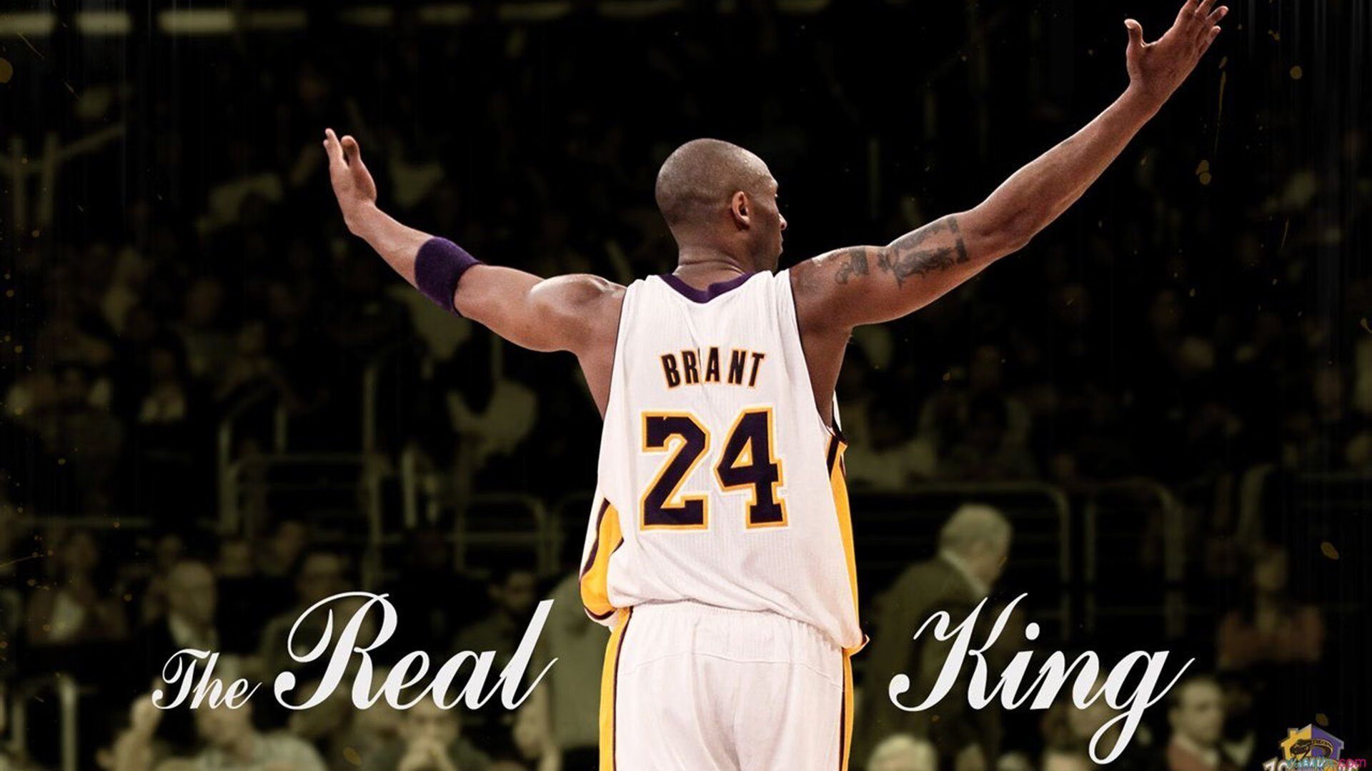 布莱顿主帅发飙批评球队态度，全队决心反弹，布莱顿球队老板